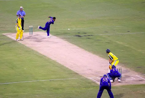 Cricket