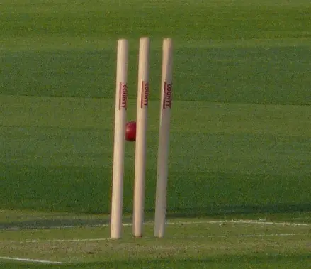 Wickets in Cricket