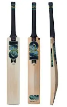GM Aion 909 Cricket Bat