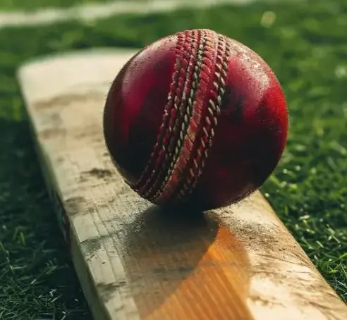 Best Cricketer in the World