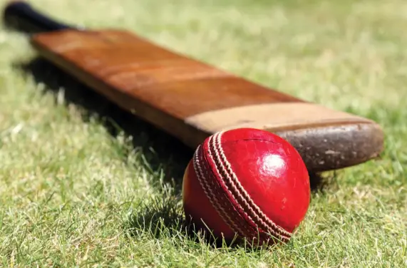 Cricket