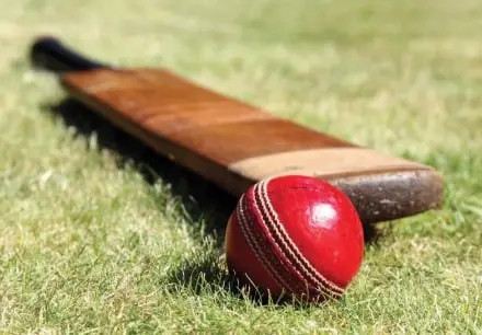 Best Cricket Bats