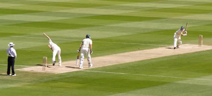 cricket