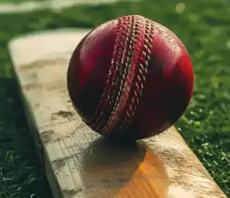 Cricket